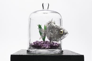 RAQ: ARTE EN EL QUIRFANO Cirugia plastica Cirugia estetica